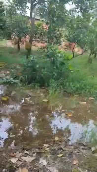 Đất nông nghiệp 13 công Thạnh Tân, Tiền Giang giá chỉ 2.73 tỷ - Đầu tư sinh lời ngay!