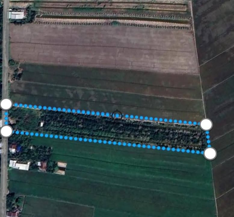 Đất thổ cư 355m² + 8000m² đất vườn tại Thanh Mỹ, Đồng Tháp - Tiềm năng đầu tư lớn!