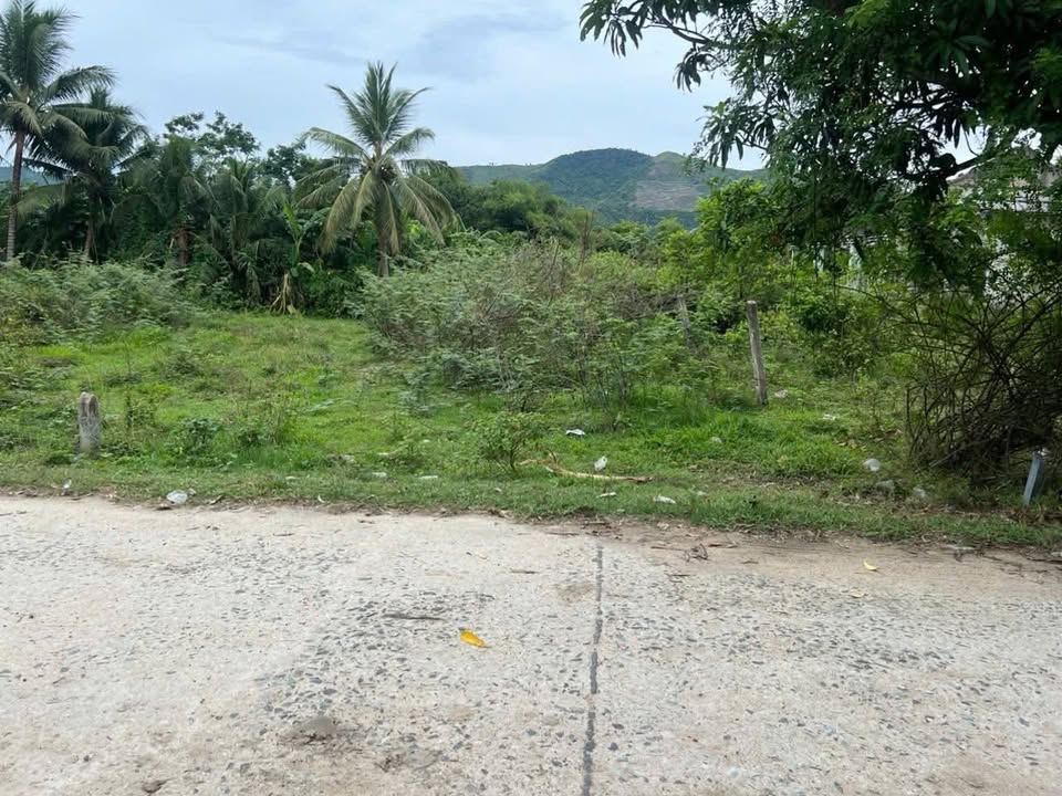 Đất nền Suối Hiệp Diên Khánh 248m² giá chỉ 999 triệu - Đầu tư sinh lời ngay!