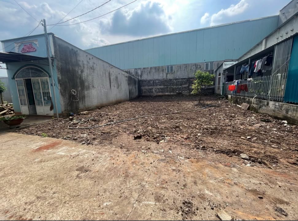 Đất nền đẹp tại phường Long Khánh, Đồng Nai - Giá chỉ 1.25 tỷ!