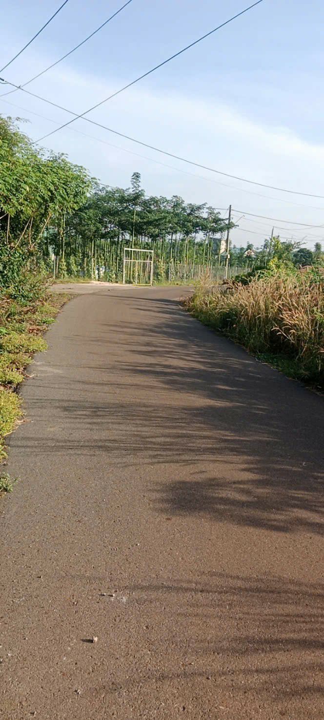 Đất nền Sơn Bình Châu Đức 120m² giá 3.5 tỷ - Mặt tiền đường Nhựa 4 sao