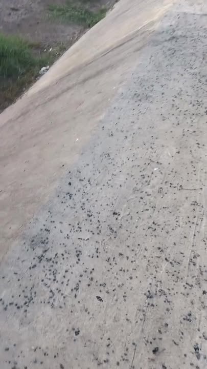 Đất ruộng 315 công tại xã Phú Cường, Đồng Tháp - Mặt tiền 200m, giá chỉ 70.875 tỷ!