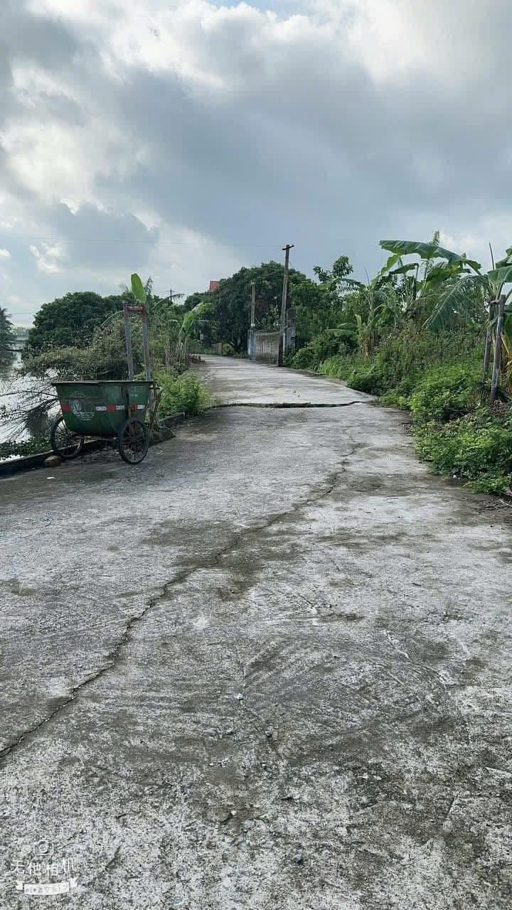 Đất nền Ái Quốc Hải Dương 65m² giá thỏa thuận - Vị trí đắc địa gần khu công nghiệp