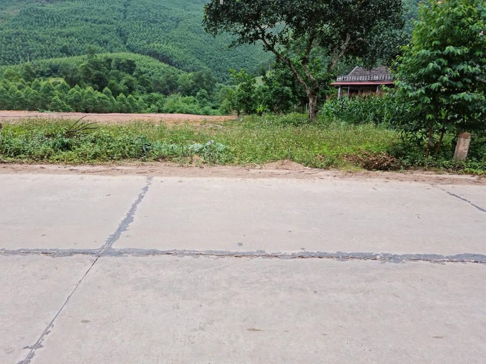 Đất Vô Tranh Lục Nam Bắc Giang 300m² - Sổ đỏ chính chủ, mặt tiền 10m