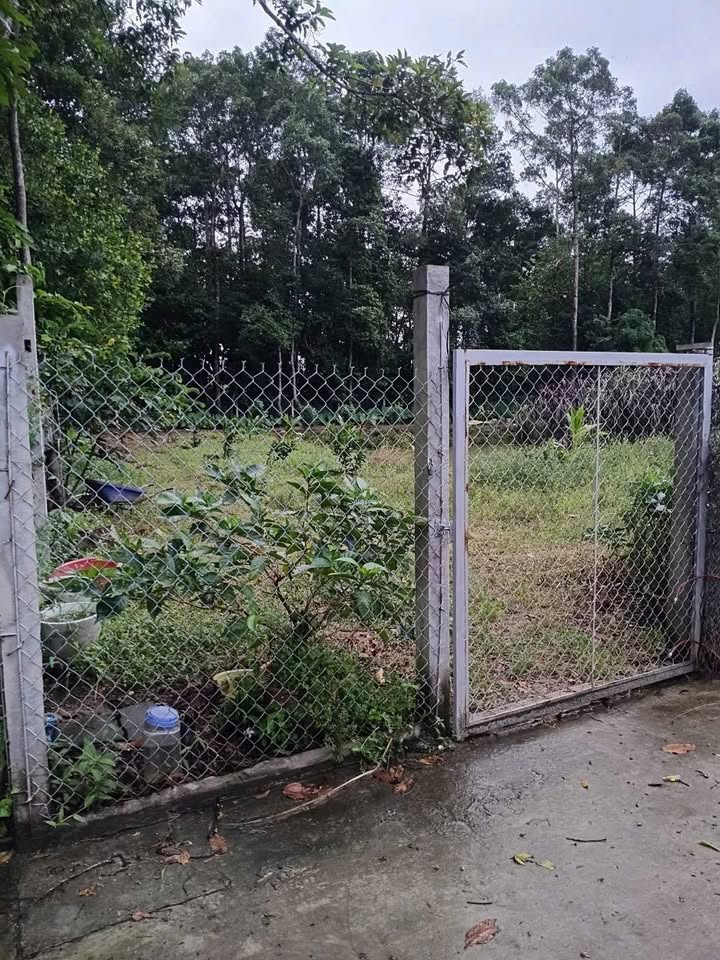 Đất nền Trà Vinh 1859m² giá 3.5 tỷ - Cơ hội đầu tư không thể bỏ qua!