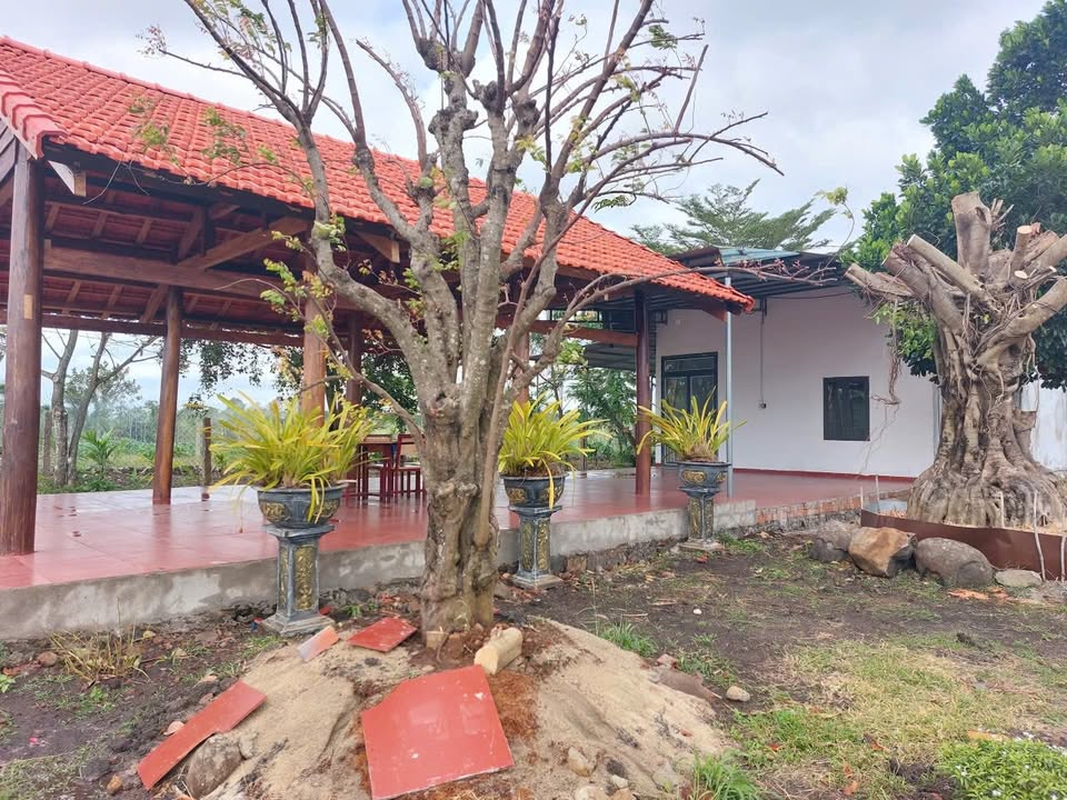 Nhà vườn đẹp thôn 3 Hòa Khánh 20160m² giá 3.304 tỷ - Đầu tư sinh lời cao!