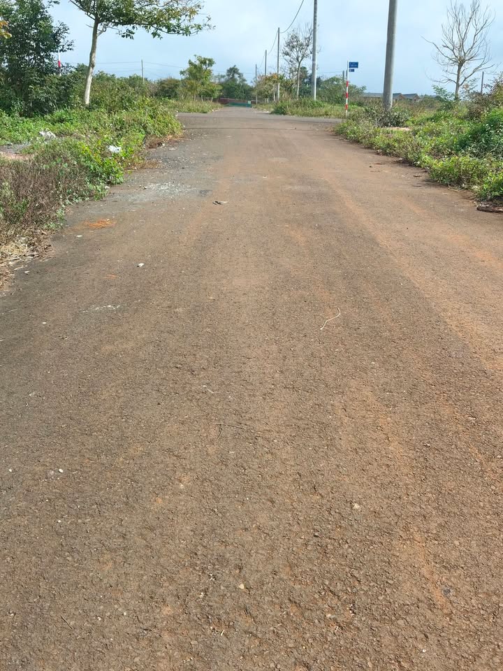 Đất nền Buôn Hồ Palama 126m² giá 1.75 tỷ - Sổ đỏ chính chủ, vị trí đắc địa!