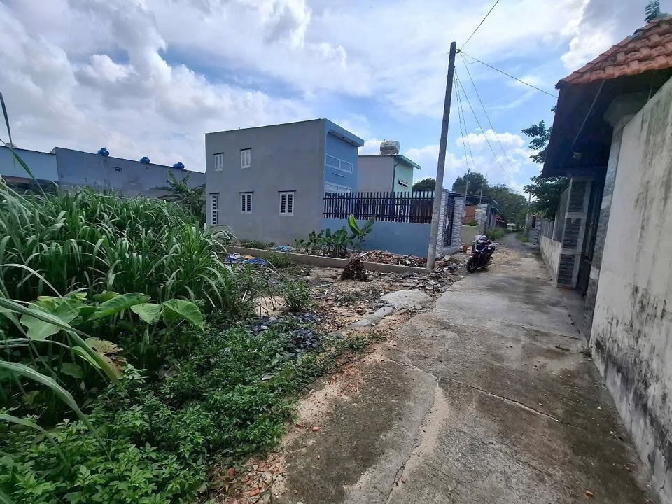 Đất Thới Tam Thôn, Hóc Môn 245m² giá 5.2 tỷ - Đầu tư lý tưởng cho nhà vườn!