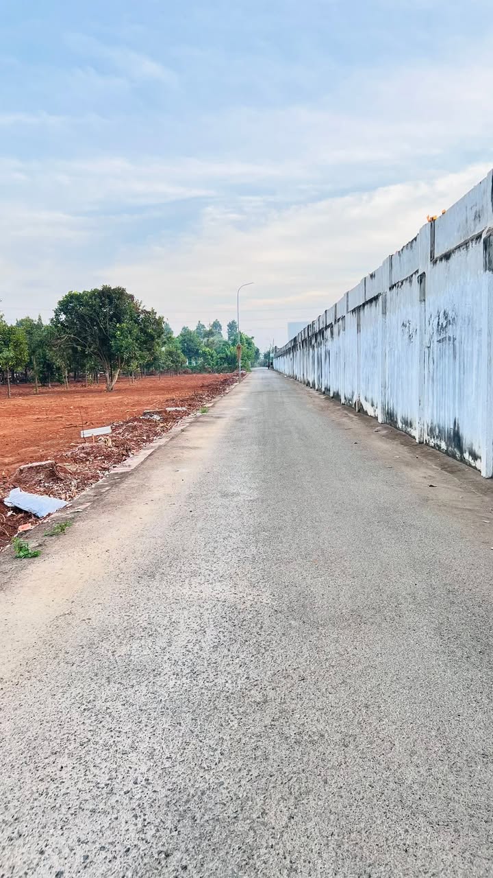 Đất nền Hòa Long, Bà Rịa 168m² giá 1.73 tỷ - Vị trí đẹp, dân cư đông đúc!