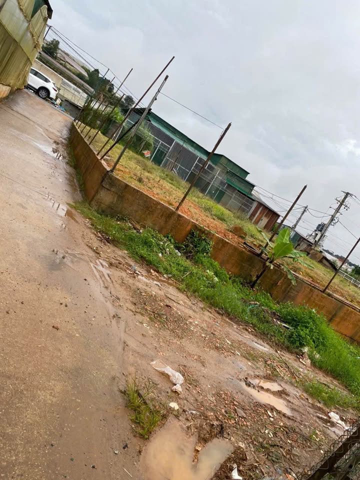 Đất nền Lâm Viên Đà Lạt 130m² giá 1.5 tỷ - Đầu tư sinh lời ngay!