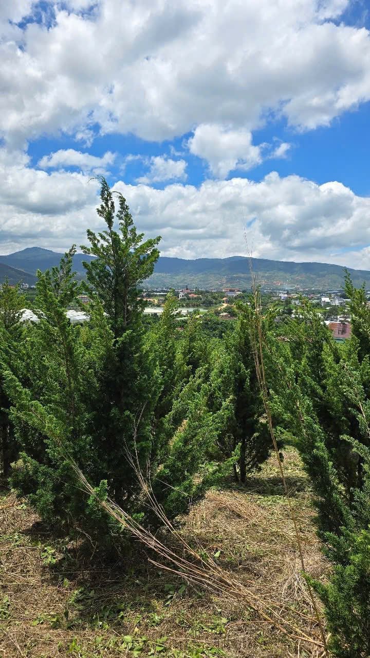 Đất nền Nam Ban Lâm Hà 600m² giá 1.599 tỷ - View đẹp trung tâm!