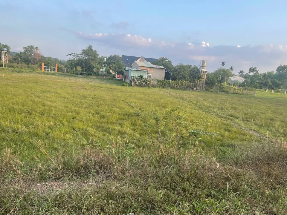 Đất mặt tiền Nguyễn Thị Gắng, Phú Mỹ Hưng, Củ Chi 800m² - Tiềm năng sinh lời lớn!