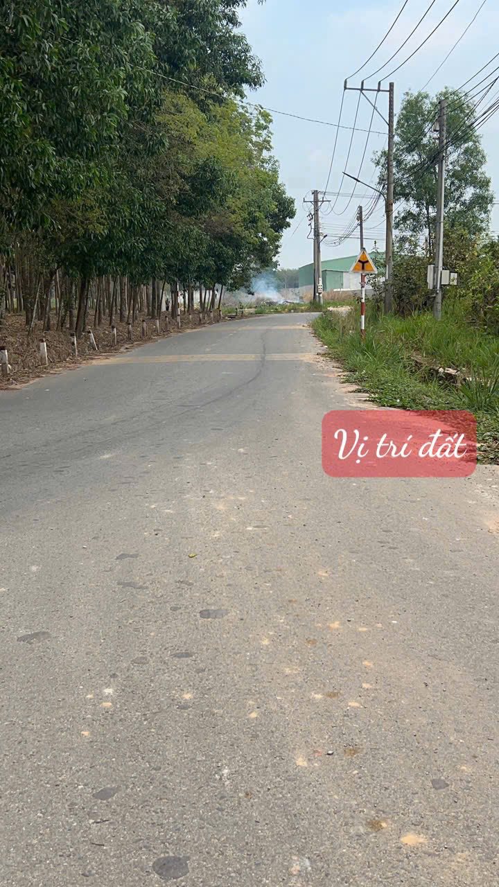 Đất nền Tân Hiệp, TP Tân Uyên 2452m² giá 12 tỷ - Cơ hội đầu tư sinh lời!