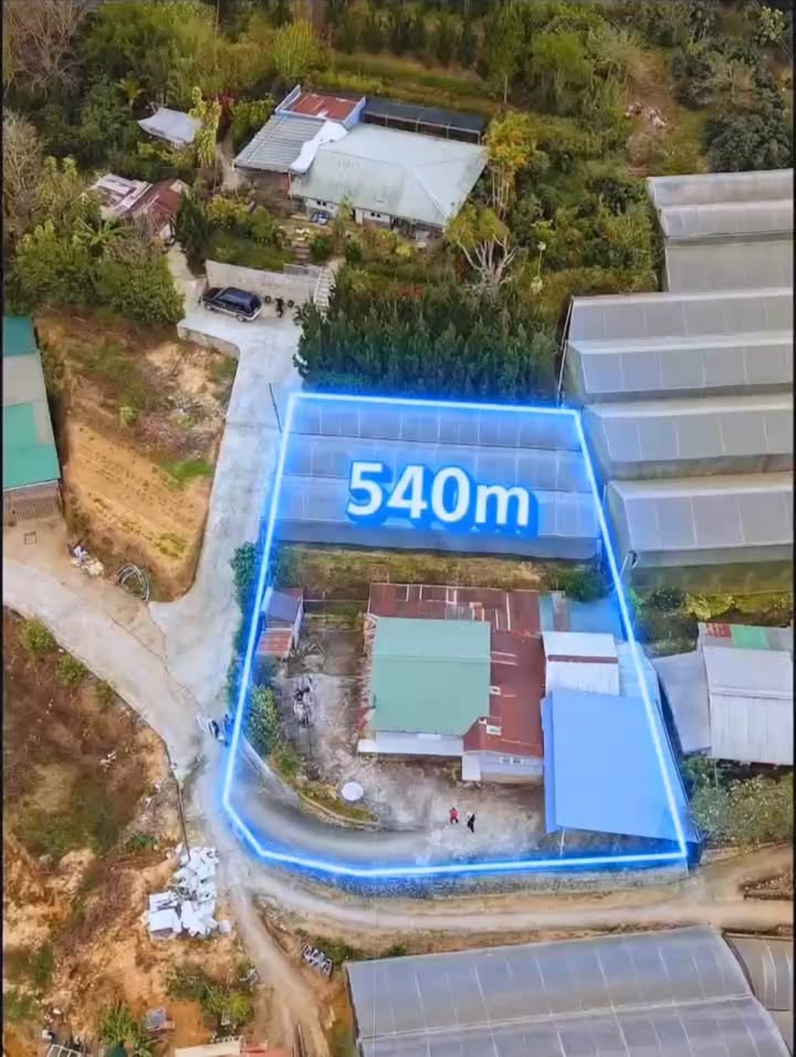 Đất nền 540m² tại phường Xuân Trường, Đà Lạt - Giá chỉ 9.5 tỷ!