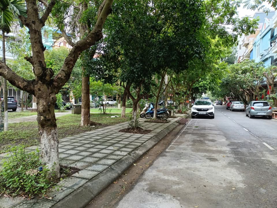 Đất đẹp Suối Hoa Bắc Ninh 76.5m² giá 13.2 tỷ - Pháp lý sổ đỏ chính chủ!