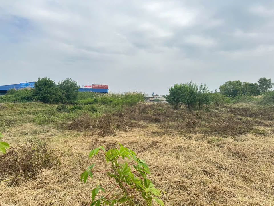 Đất nền mặt tiền sông Thạnh Điền, Cà Mau 3900m² giá chỉ 650 triệu - Cơ hội đầu tư sinh lời!