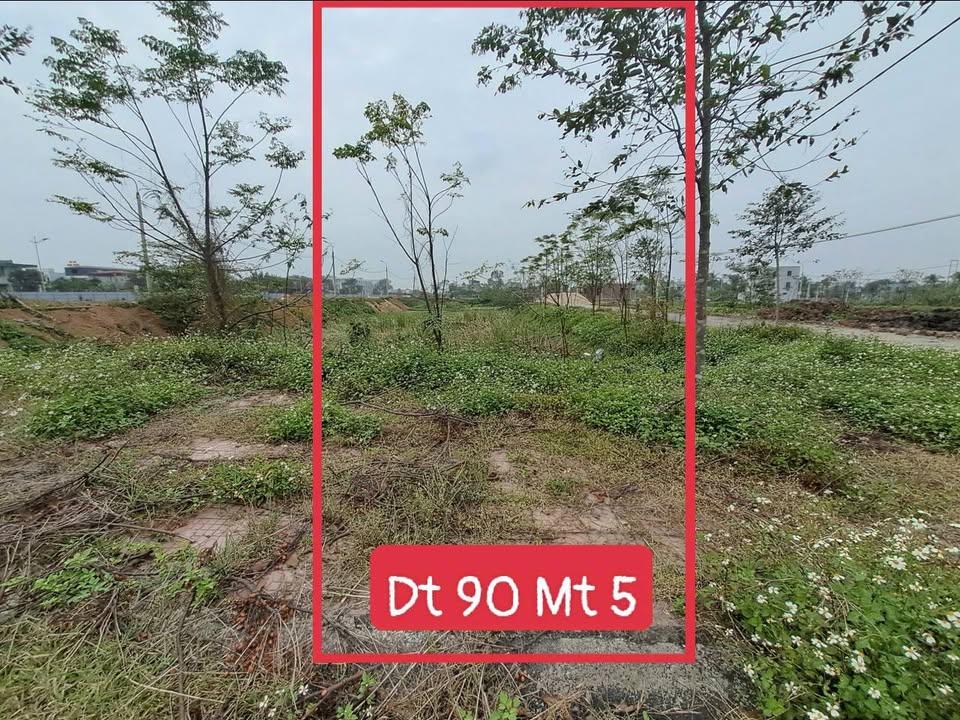 Đất nền Quảng Tâm Thanh Hóa 90m² giá 2 tỷ - Đối diện ĐH Công Nghiệp HCM!