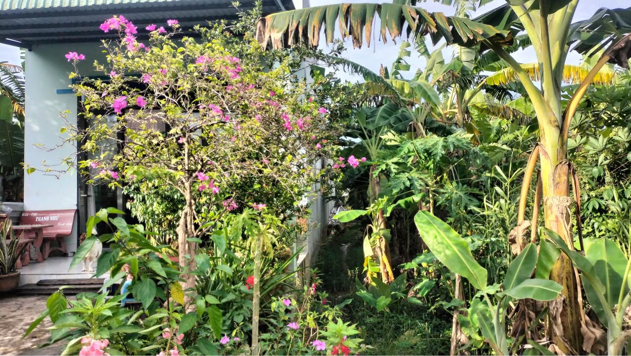 Đất nền Phường 8, TP Vĩnh Long 124,4m² giá 560 triệu - Đầu tư sinh lời dài hạn!