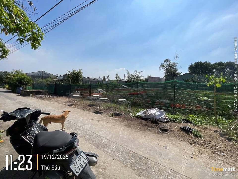 Đất ấp 2 Long Thọ, Nhơn Trạch 638m² giá 6 tỷ - Đầu tư sinh lời ngay!