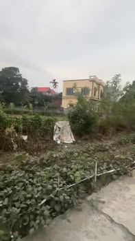 Đất nền An Đức Ninh Giang 100m² - Giá thỏa thuận, vị trí thuận lợi!