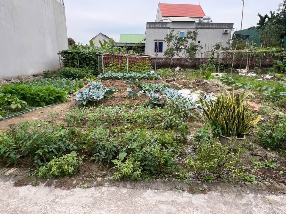 Đất nền Hồng Vân Thường Tín 68m² giá 4.352 tỷ - Sổ đỏ chính chủ, đầu tư sinh lời!