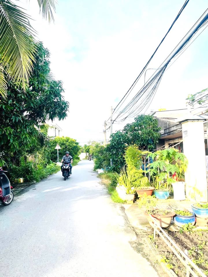 Đất nền tại đường số 30, Tân Thông Hội, Củ Chi 133m² - Vị trí trung tâm, giá tốt thương lượng!