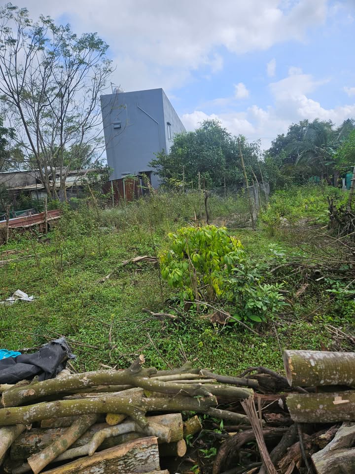 Lô đất Hòa Tiến Đà Nẵng 128m² giá 1.4 tỷ - Cần tiền bán gấp!