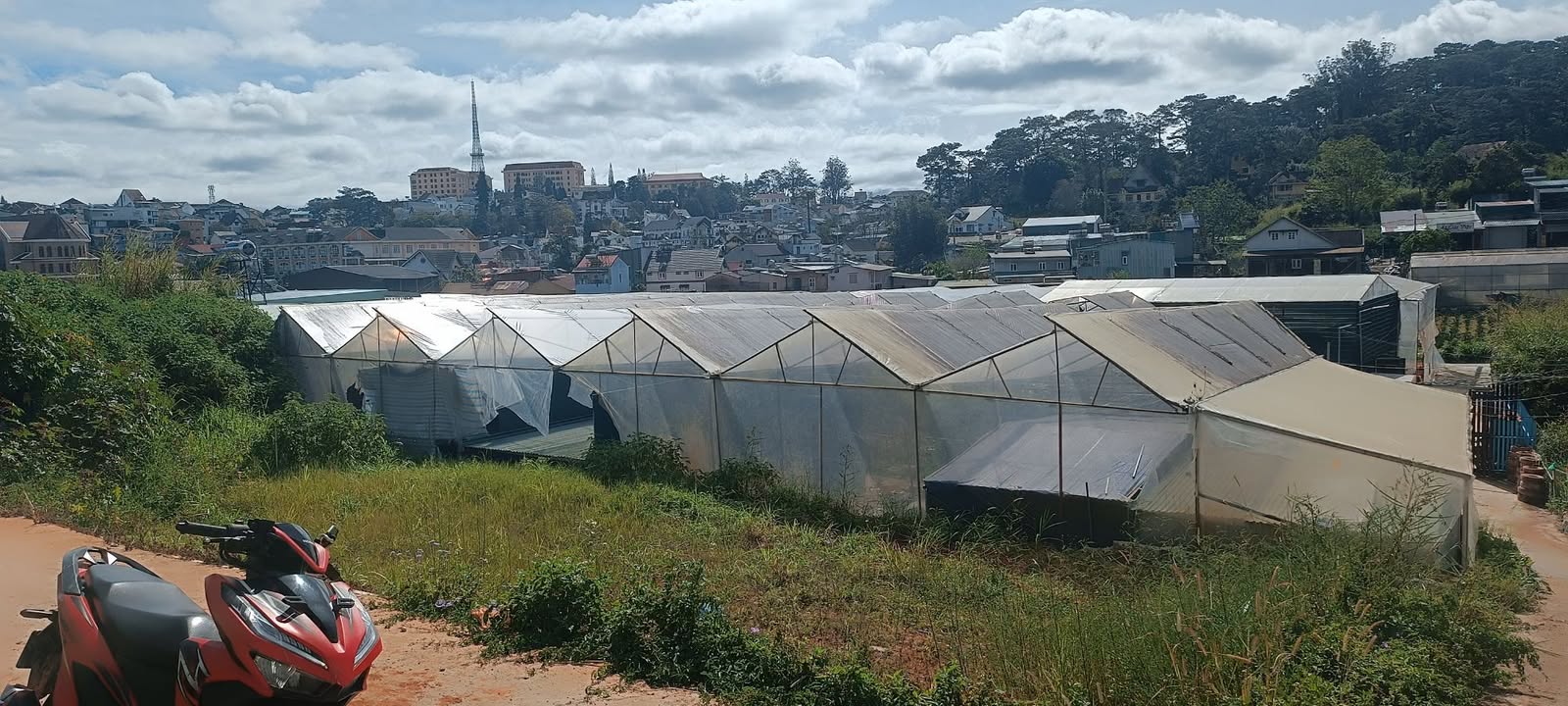 Đất nền Đà Lạt 60m² giá 700 triệu - Cơ hội đầu tư tuyệt vời!