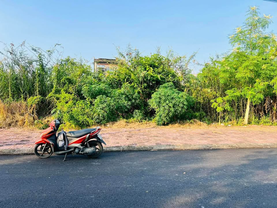 Đất nền liền kề KDC Licogi Cà Mau 322.5m² giá 1.55 tỷ - Đầu tư sinh lời lý tưởng!