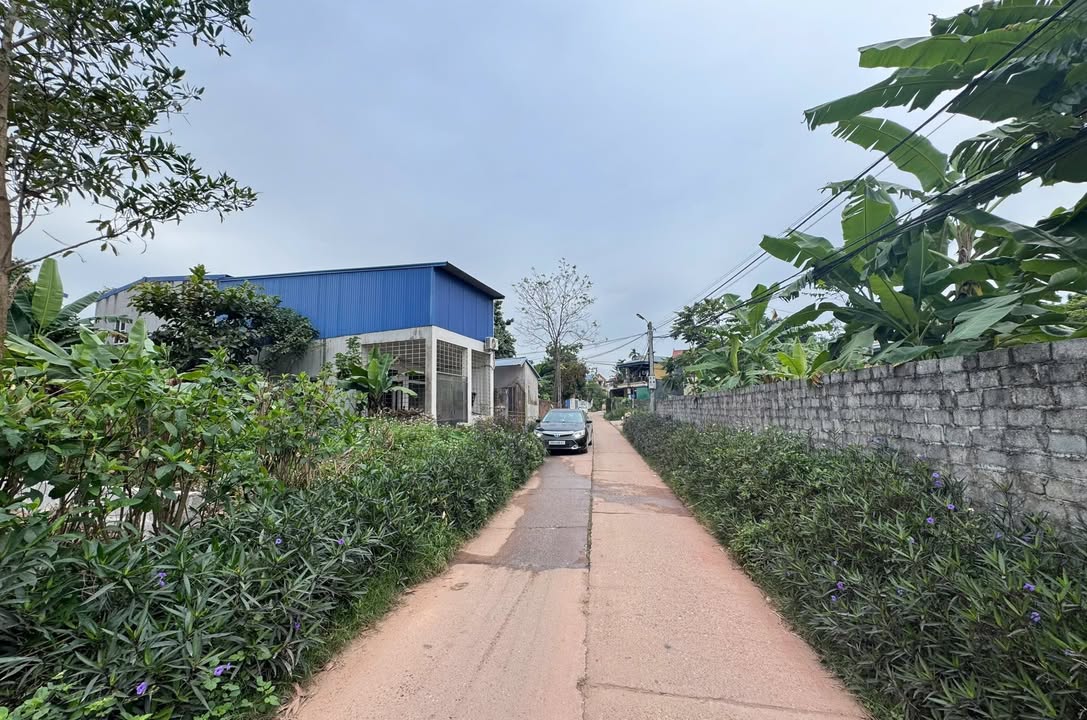 Đất nền liền kề Phường Đồng Quang 80m² giá 2.5 tỷ - Vị trí thuận lợi gần trường học!