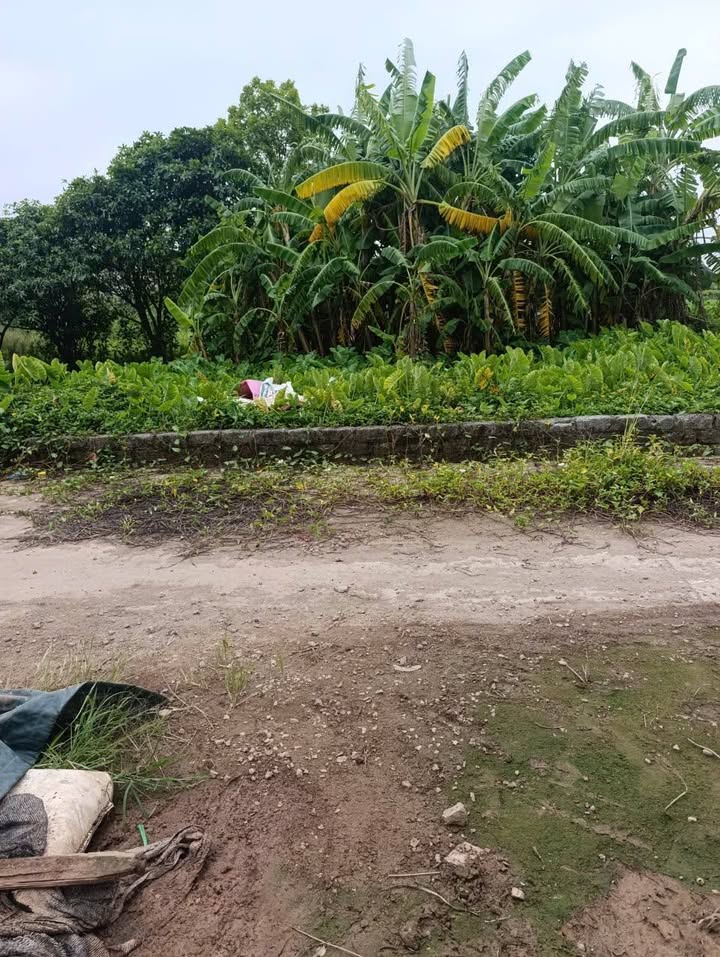 Đất nền Vĩnh Lộc, Chương Dương, 107m², giá 6.42 tỷ - Cơ hội đầu tư hiếm có!