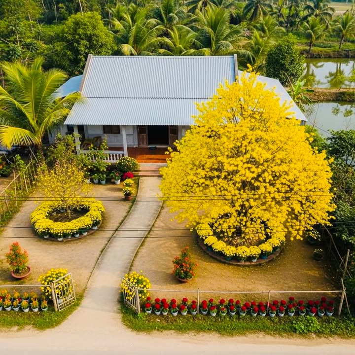 Nhà cấp 4 mặt tiền Tỉnh lộ 827A, phường Bình Tâm, 422.4m² - Cơ hội kinh doanh tuyệt vời!