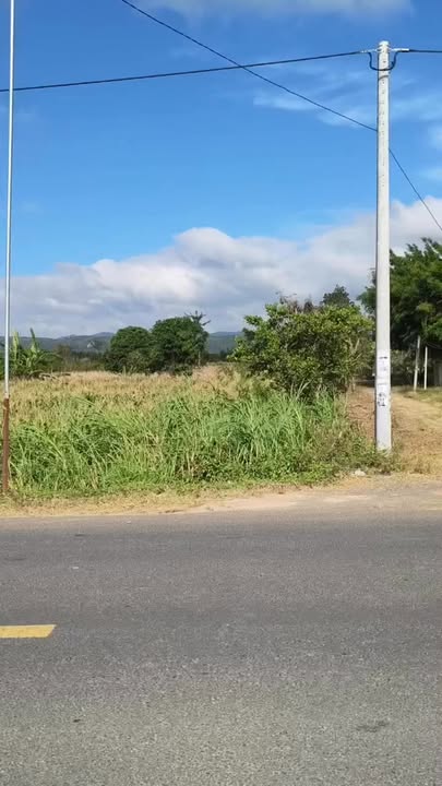 Đất nền Cụm công nghiệp Tân Tiến, 300m² giá 967.5 triệu - Cơ hội đầu tư hiếm có!