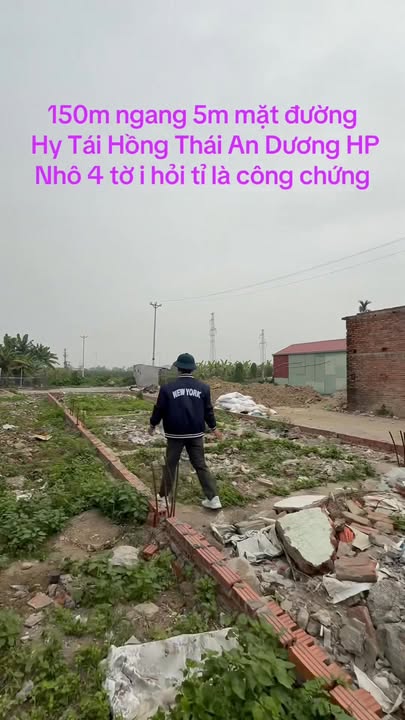 FrontHouse đường Hy Tái, Hồng Thái, An Dương 150m² giá 4 tỷ - Đầu tư sinh lời ngay!