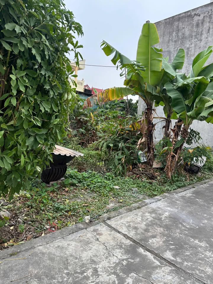 Đất nền khu vực Bắc Sơn, An Dương 61m² giá 1.1 tỷ - Đầu tư lý tưởng!