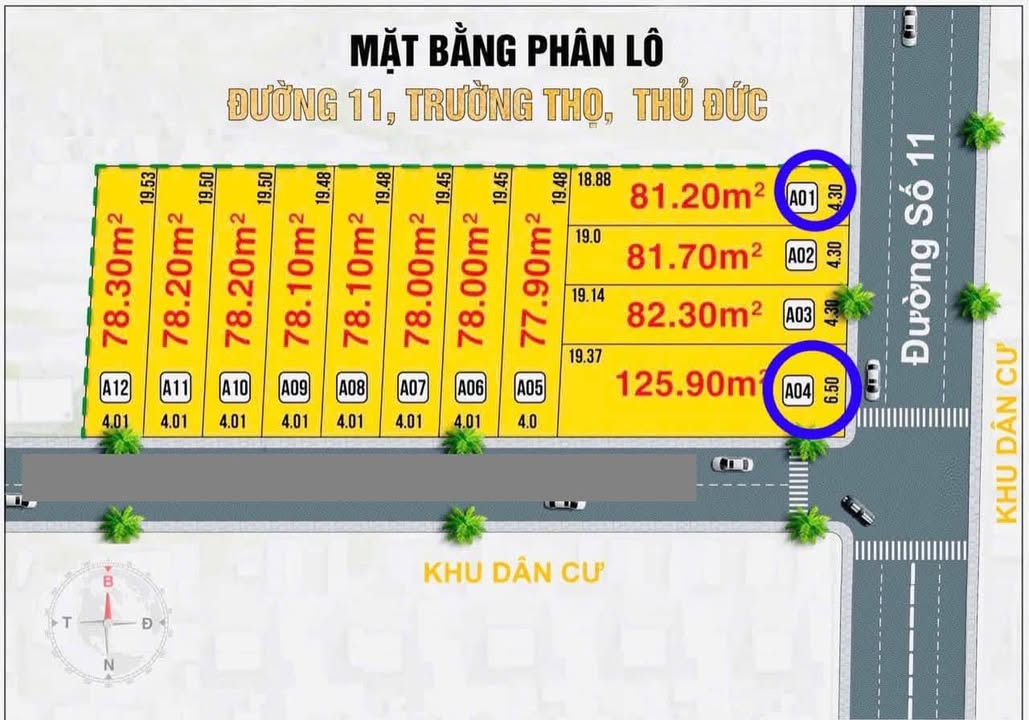 Đất nền mặt tiền Đường Số 11, P.Trường Thọ, Thủ Đức 81.2m² chỉ 8.7 tỷ - Cơ hội đầu tư sinh lời!