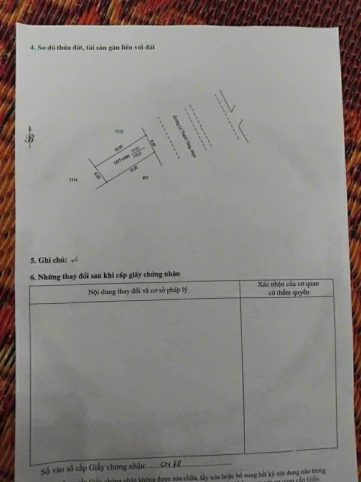 Đất nền Lý Thánh Tông Đồng Hới 114m² giá 3.1 tỷ - Đầu tư sinh lời tốt!