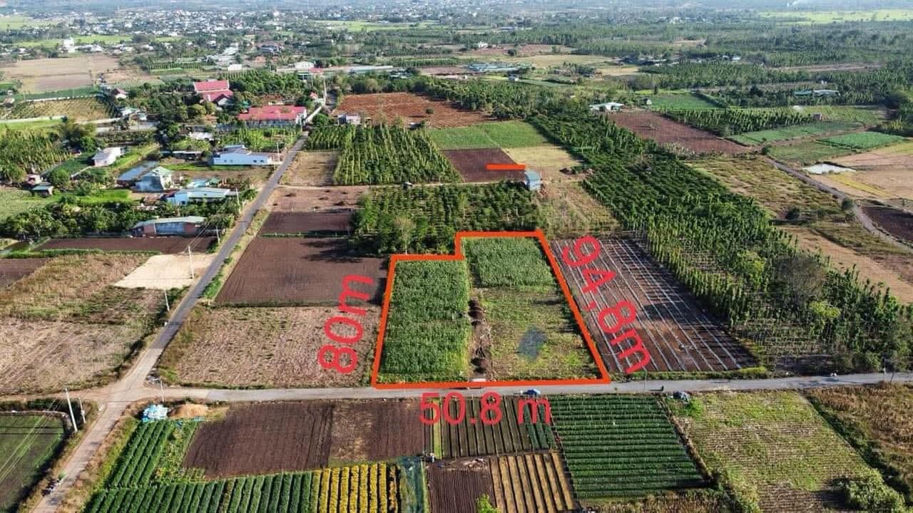 Đất xã Hòa Khánh, Buôn Ma Thuột 4188m² giá 3.5 tỷ - Hạ giá sốc 400 triệu!