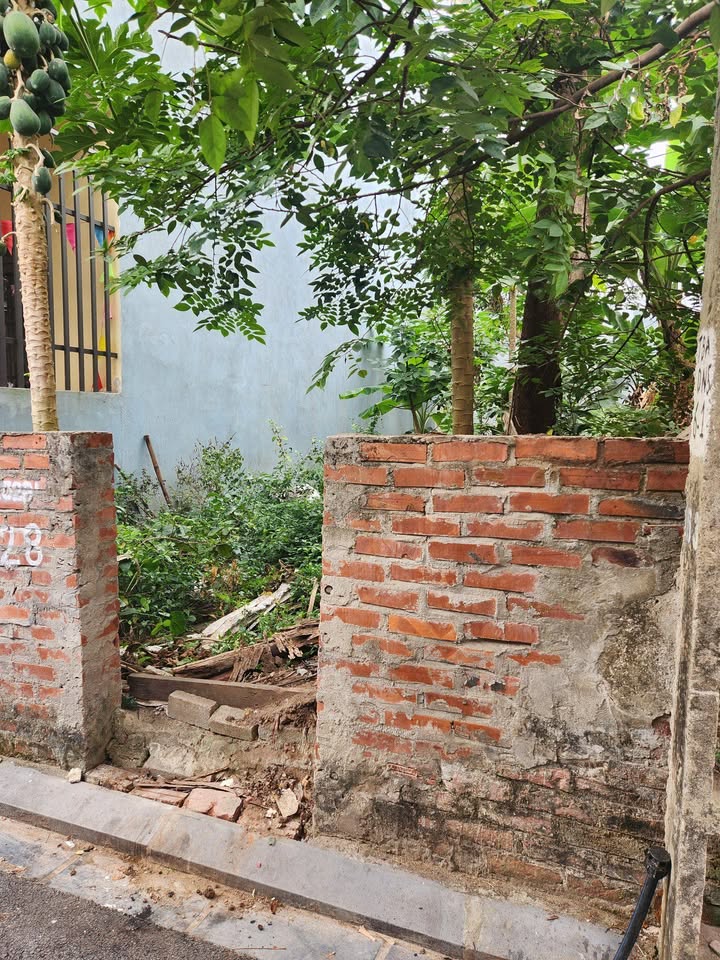 Đất thổ cư Du Nội, Đông Anh 70m² giá 7.98 tỷ - Đầu tư thông minh!