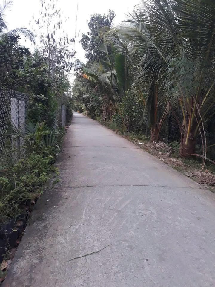 Đất đẹp Phước Mỹ Trung 4800m² giá 560 triệu - Đầu tư tiềm năng!