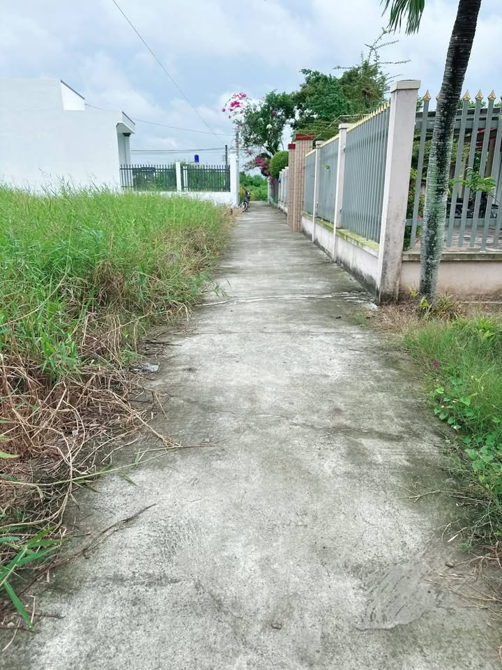 Đất nền Tân Trung, Gò Công, 133.55m² giá 420 triệu - Đầu tư lý tưởng!