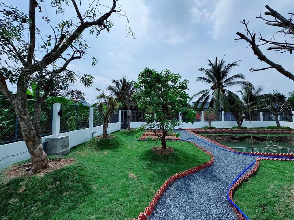 Nhà vườn Tỉnh Lộ 877, Xóm Thủ, 735m² giá 2.8 tỷ - Mặt tiền kinh doanh lý tưởng!