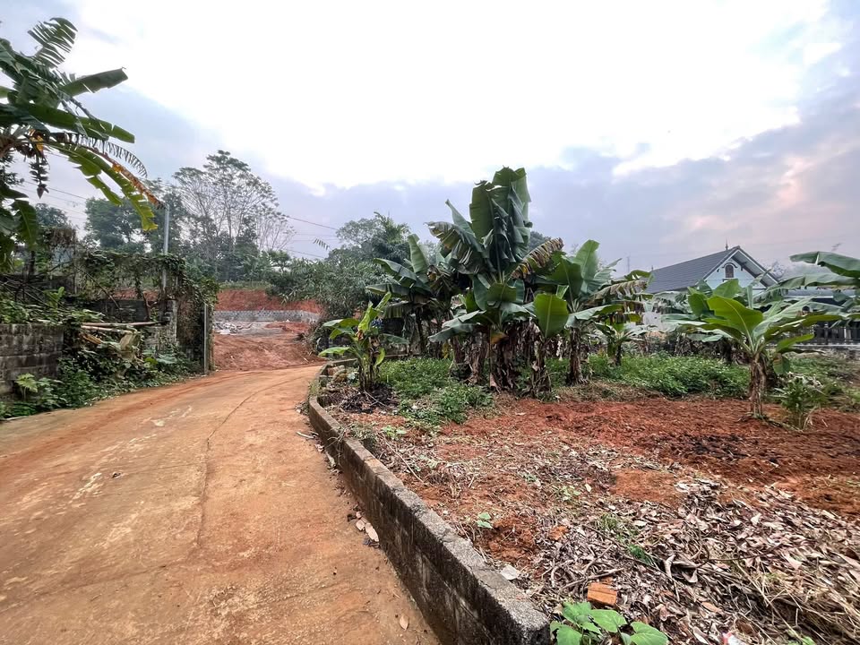 Đất vườn Phú Cát, Quốc Oai 570m² chỉ 2.85 tỷ - Đường thông, vị trí tiềm năng!