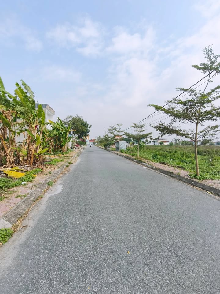 Đất thổ cư Thanh Sơn - Kiến Thụy 150.2m² giá 3 tỷ - Sổ đỏ chính chủ!