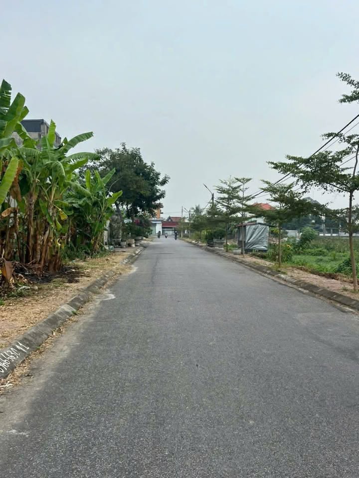 Đất mặt đường Cẩm Hoàn, Thanh Sơn, Kiến Thuỵ 150m² giá chỉ 20 triệu/m² - Sổ hồng chính chủ!