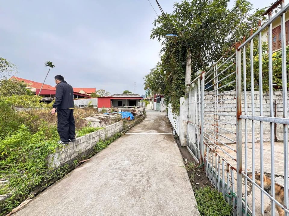 Đất nền Bàng La Đồ Sơn 100m² giá 1.1 tỷ - Vị trí đắc địa gần chợ!