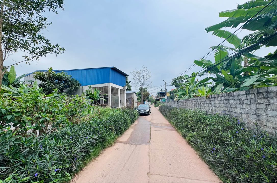 Đất nền liền kề Phường Đồng Quang 80m² - Giá chỉ 2.5 tỷ, đầu tư sinh lời!