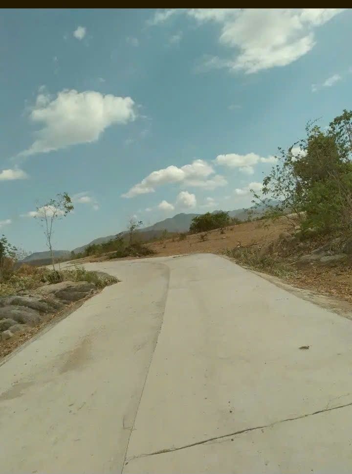 Đất Cây Lâu Năm 2000m² tại Tân Hiệp, Ninh Sơn - Giá chỉ 300 triệu!