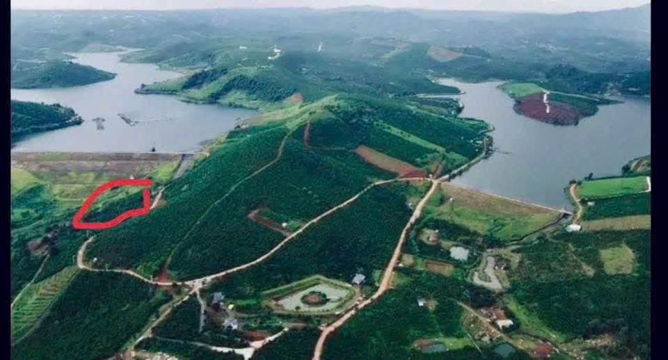 Đất nền Lộc Ngãi Bảo Lâm 300m² giá 599 triệu - Sổ đỏ chính chủ!