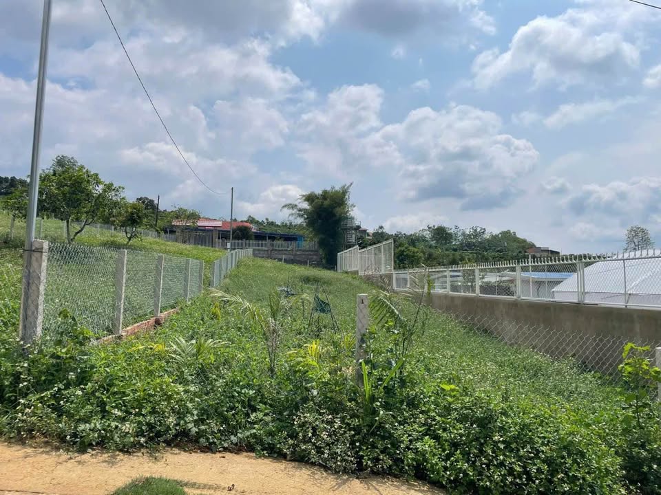 Đất nền Bảo Lộc 500m² giá 1.7 tỷ - Sổ đỏ chính chủ, vị trí đẹp!